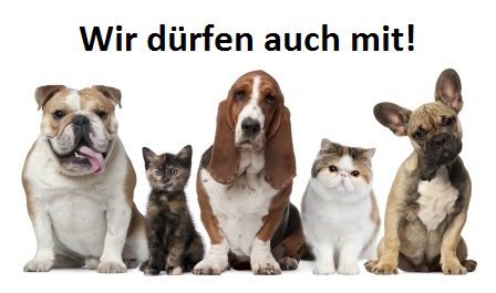 hunde
